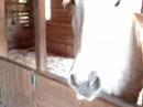 palle-terre-a-terre.html