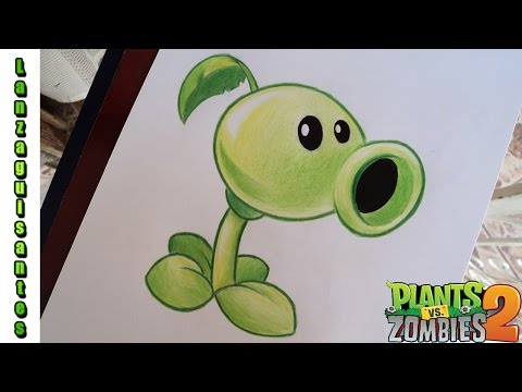 how to draw pvz 2