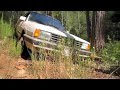 Three Volkswagen Quantum Syncro Wagens Three Volkswagen Quantum Syncro Wagens