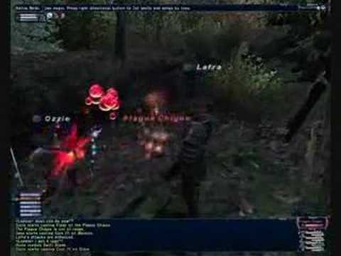 Plague Chigoe NM