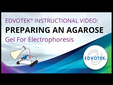 how to perform gel electrophoresis