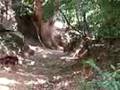 videos de neilson- picoto serrano 2 014_mpeg4.mp4