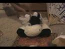 Webkinz hotel pt 1