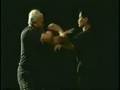 Fushan Wing Chun Chi Sau