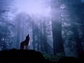 For My Fallen Angel- My Dying Bride