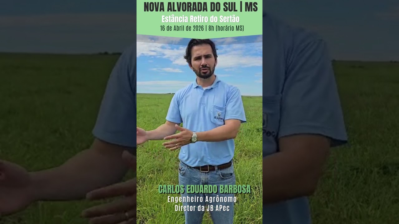 Antecipasto - soja e capim são aliados da produtividade sustentável