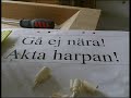 The Nyckelharpa Road Movie The Nyckelharpa Road Movie