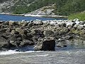 Magnus Greni in Sagfjorden, Norway Magnus Greni in Sagfjorden, Norway