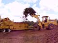 2003 Bandit Beast 5680Cat 3412, 1000hp5500 hoursOwner used to grind clean woodComes with 6X6 military truck to tow, all new injectors already installed, new outfeed belt, and newly rebuilt infeed chainNew augers, auger bearings, and infeed chain auger2 new main pulleys for infeed, new idler rollers for infeed chain and bearings, paintedComplete set of hammers and teeth installedFifth wheel hitchGood running condition*Seller motivated to sell- priced so low because seller needs funds to purchase other equipment!!!$219,000