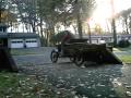 1902 ford truck.owned and restored by ray greenwood, owner of ..vintage furniture restoration..in prospect ct. purchased in 1980 after she was found in a barn. under cover and not touched since 1940. all the wood was in good shape, no rot. she had many coats of paint which kept the wood in good shape. chestnut spokes and frame,pine body. copper gas tank with brass headlights and trim. engine is under the seat.her length is about 11 ft long and 7 ft tall, with the top up. about a 12 hsp engine that goes about 25 mph. she's not fast but she's very strong. due to a serious injury, we had to change the crank start to electric. tires are 30 x 3. canvas easily folds down.she has won many first place awards, and was featured in magazine articles and on tv interviews. she is driven almost every day throught the year and is very dependable. for the shows that are out of town , we have a custom trailer for her. the copper gas tank is on the front, between the headlights. exaust is also brass. the bed does lift up to dump, and it makes it easier to work on the transmission.we hit most of the car shows and some cruise nights mainly in ct. we would like to take her to the cape and then maby down to florida.she is available for movies and pictures. just send me an email, its listed at the end of the video.i will be posting better videos of her. my son was having fun and made this video.
