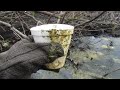 Click here to watch this video Hillsborough River Litter and Polution - May 15, 2012 Part 2
