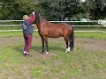 CMG Bolero \"Ear-Training\" 19.09.2008