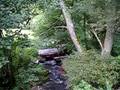 Silverado im Bach 2