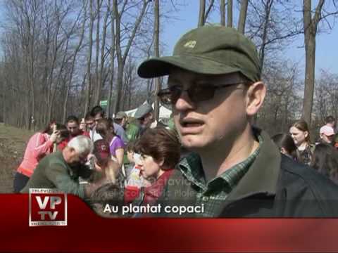 Au plantat copaci