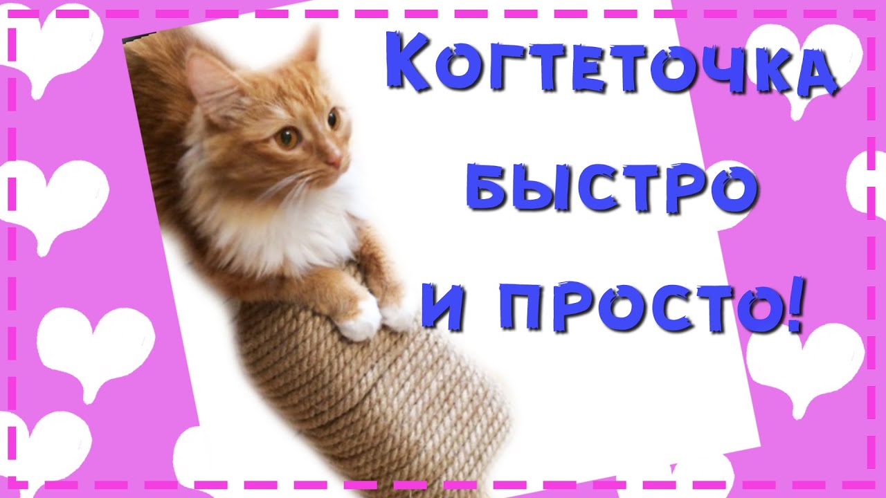 Когтеточка для кошки своими руками из джута и бутылки