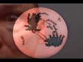 Microbiology Song Microbiology Song