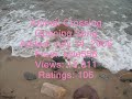 Kyle556 Catalogue