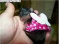this is how my yorkie puppies look like and they are girls