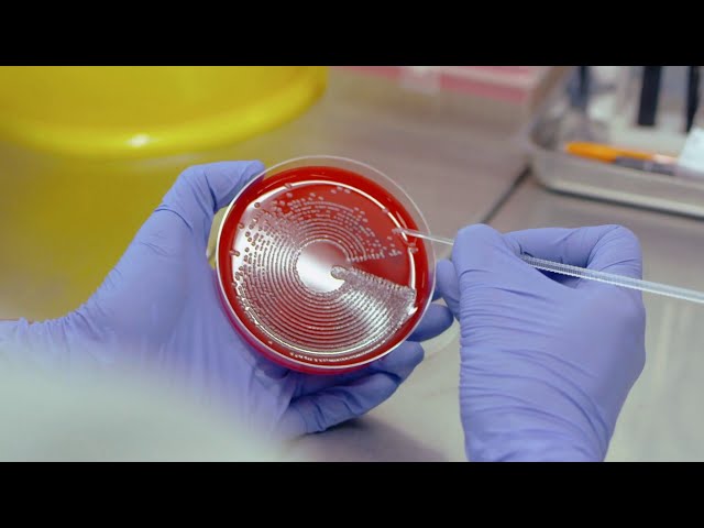 Analytical Science (3) - DC161 