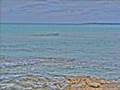 Oystein Sevag HORIZON