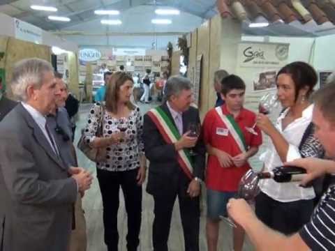 Immagine anteprima YouTube