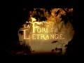 La fête des grenouilles | La Forêt de l'Étrange