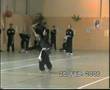 VO CO TRUYEN : THAO DU TRI-BATON (ou Fléau)