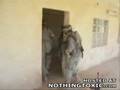 The Iraq ...