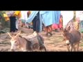 Tewahdo.net/Debre Sina Tewahdo.net/Debre Sina