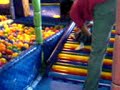 MOV00004 MOV00004