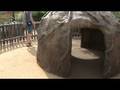 videos de Natalie Playing at Wild Animal Park