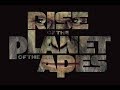 Rise Of The Planet Of The Apes Rise Of The Planet Of The Apes