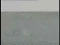 police persuit shootout