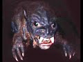 El Chupacabra