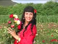 ILEANA RUS-SATRA
