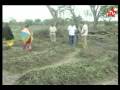 RDC: Agriculture et pêche (www.nyota.net)