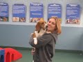 Doggie day care Doggie day care