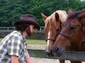 Eric Brumley feeding \"Jesse and Amos\" with Nicole