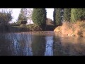 MILL BARN COARSE FISHERY