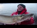 Fall 2008 - Musky fishing