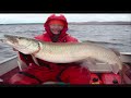 Fall-2008-Musky-fish