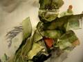 videos de November 15 2008 | Studio Work