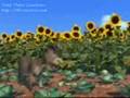 Shrek - �orum Versioon !