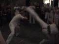 Capoeira Roda / Show in Mainz, Germany