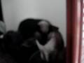 videos de nega na janela