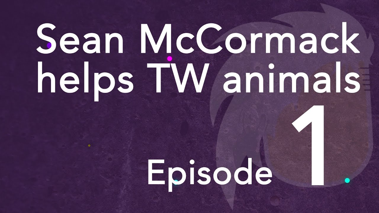 Hallo Youtube - meet Sean McCormack 台灣外籍動物救援者