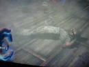 Funny Splicer Glitch