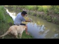 Pesca de Traíras na 
