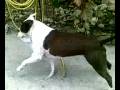 videos de 01122008.mp4