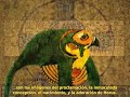 zeitgeist spanish   la religion 2 de 3   3 del total 13